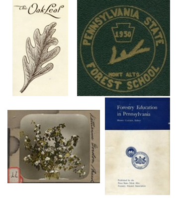 Forestry Education collage