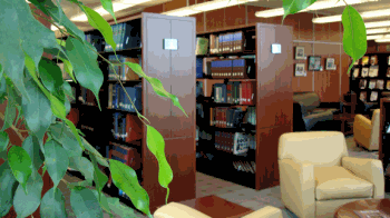 Your Library shelving