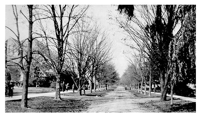 Campus Mall, 1900s