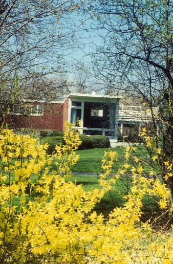 Front with forsythia