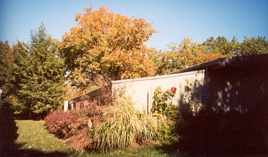 Garden room in fall