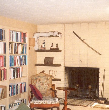 library fireplace