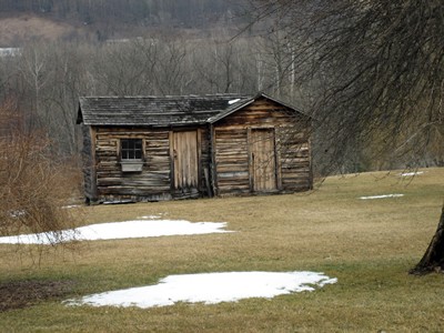 Asylum - an old wooden cabin in a field