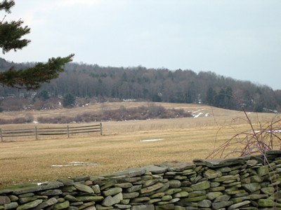 Asylum - stone wall lines a field