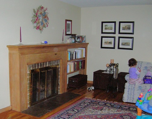 fireplace and built in bookshelves