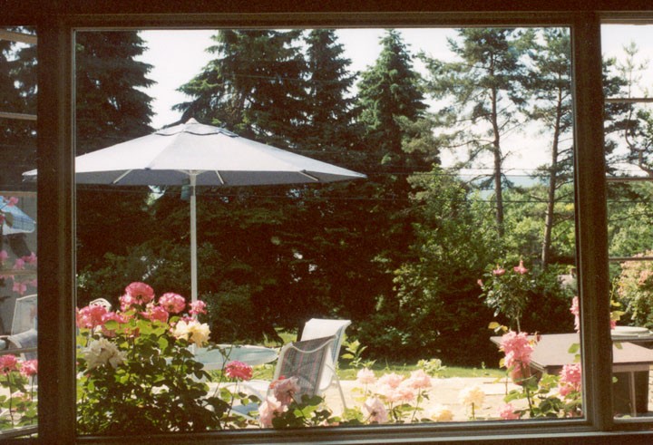 View of the back yard from the great room